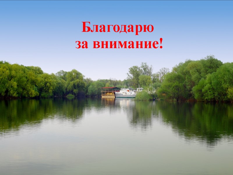 Благодарю  за внимание!